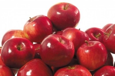 Вкусный сорт яблок «Анис». Описание и фото разных видов: Свердловского, Алого, Полосатого и других