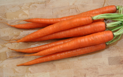 Что такое морковь? История, описание и характеристика этого растения, виды и интересные факты