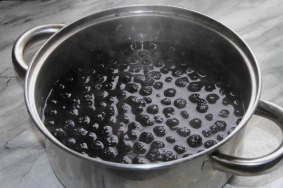 ТОП 20 рецептов приготовления заготовок из черноплодной рябины на зиму